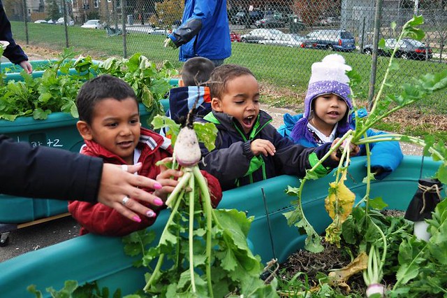 USDA Announces 2019 Farm to School Grants