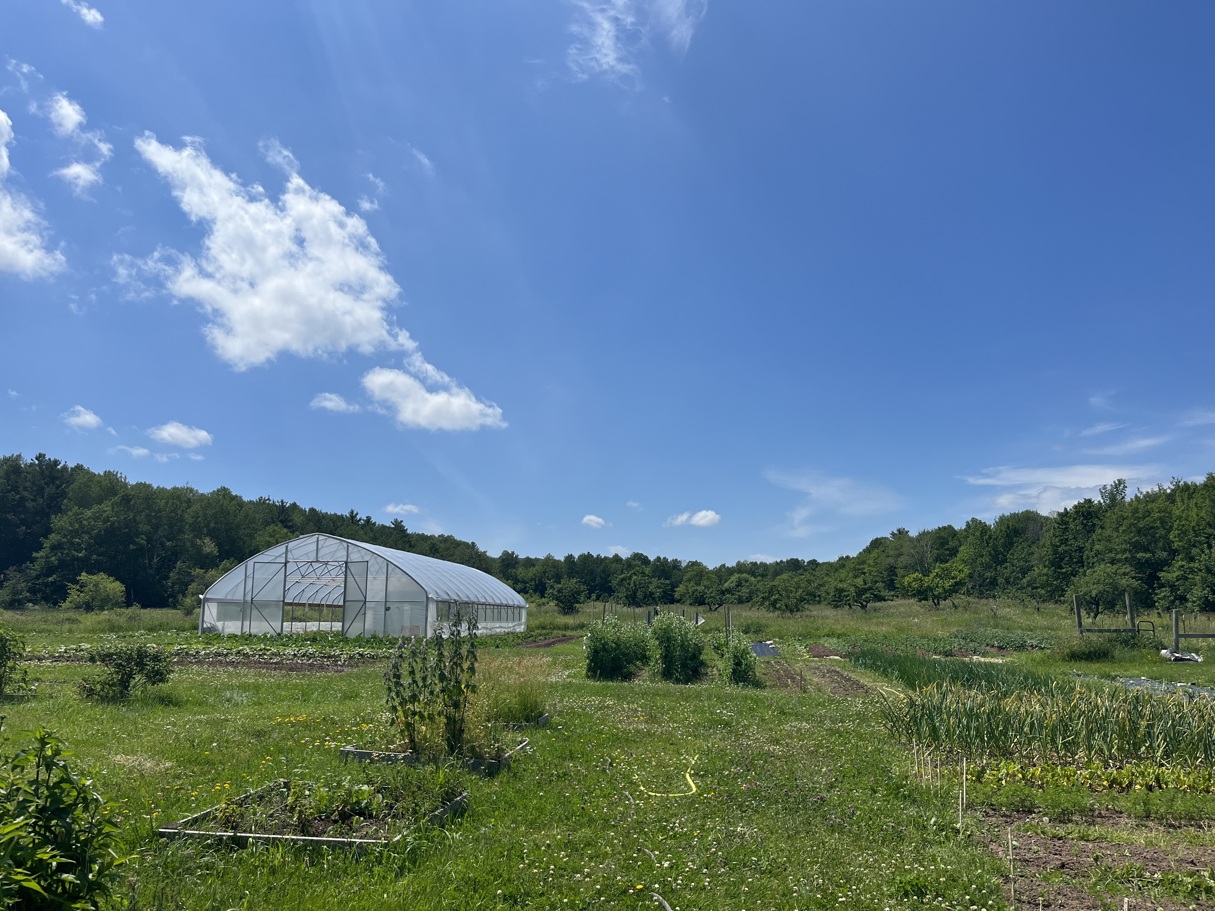 the Mino Bimaadiziiwin Farm