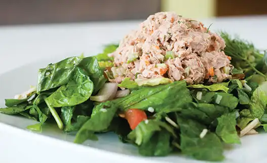 tuna salad on greens