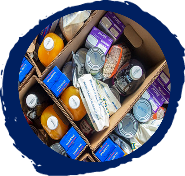 csfp food package on navy paintbrush circle background
