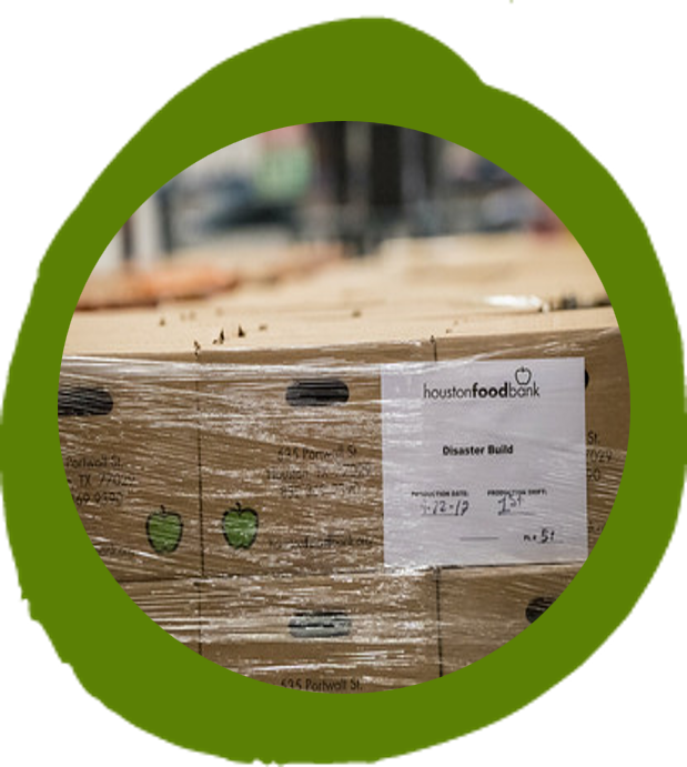 image of disaster food boxes on green painbrush background
