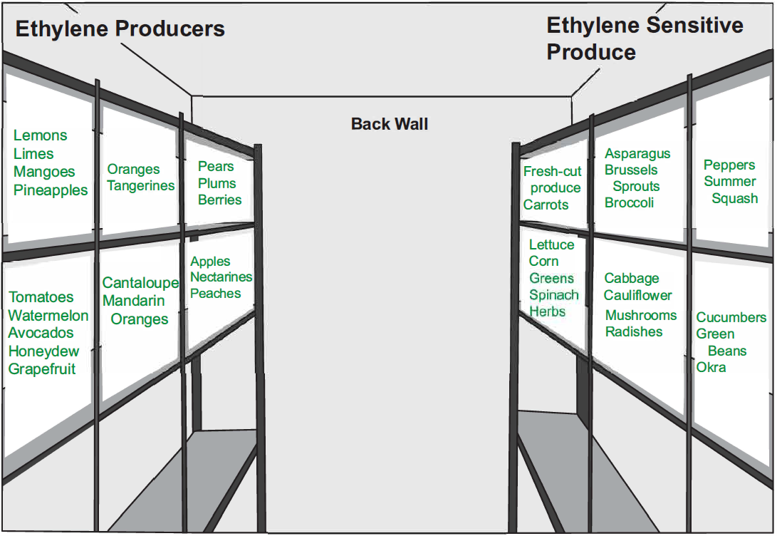 Diagram of a walk in fridge showing ethylene producers and ethylene sensitive produce on opposites sides, and specific produce items stored with other specific produce items.