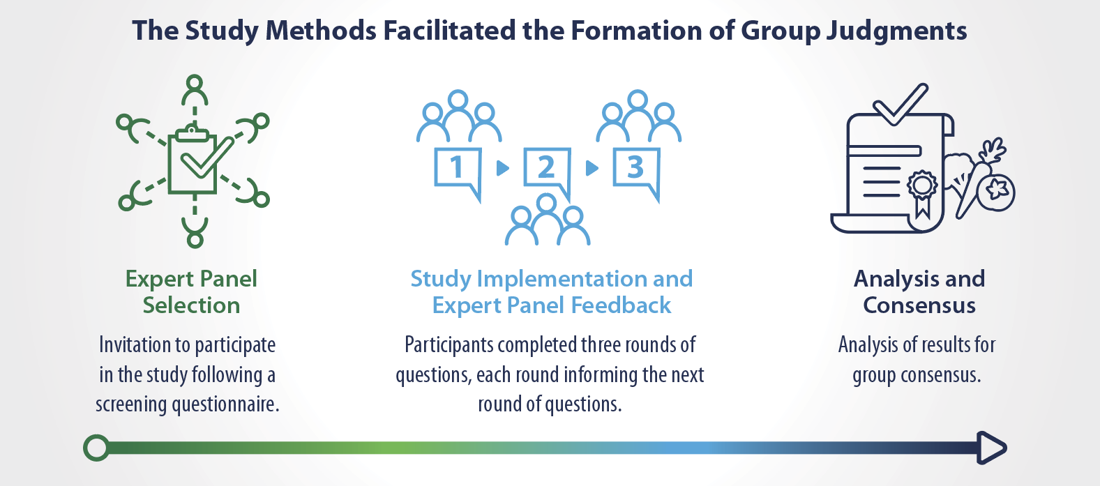 Methodology visual showing expert panel selection, study implementation and expert panel feedback, and analysis and consensus.