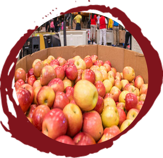 carton of apples on a red paintbrush circle background