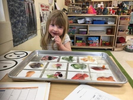 young girl tasting new fruits and vegetables in the classroom