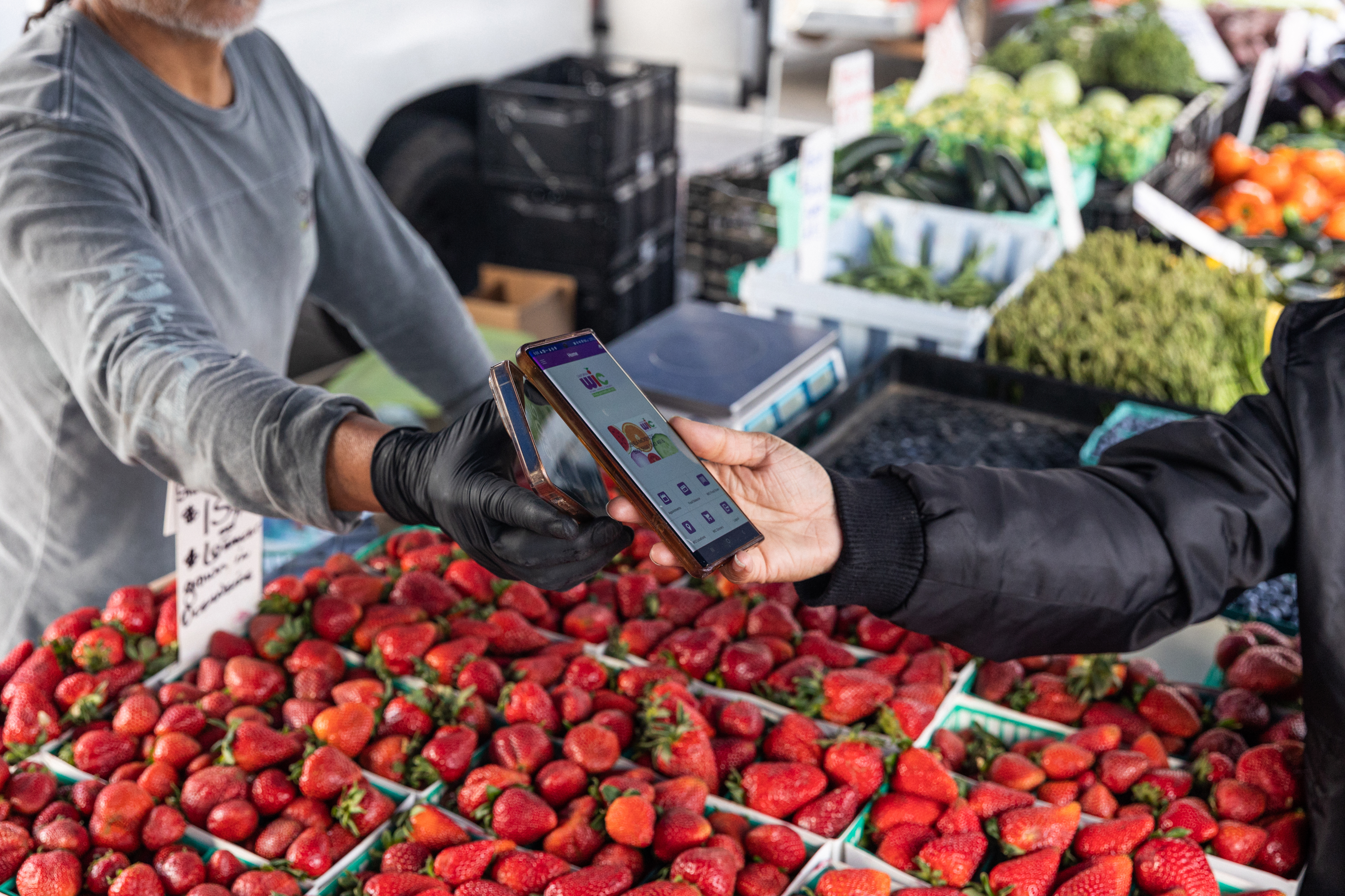 Someone buying produce from a farmers' market using their phone and a WIC app.