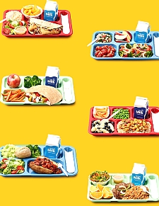 School Meal Trays