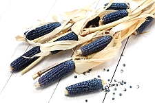 Crediting of Child Nutrition Programs and Traditional Indigenous Foods Memo