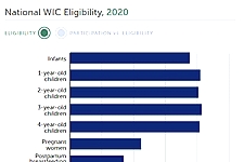 screenshot of figure 1