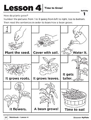 Lesson Four Time to Grow