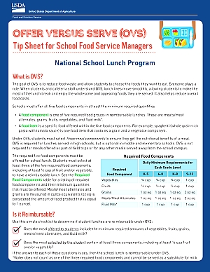 OVS Lunch Tip Sheet