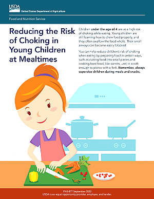 Reducing the Risk of Choking in Young Children at Mealtimes 