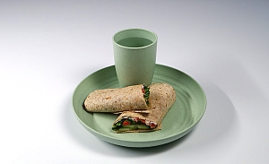 Fresh veggie wraps for ages 6-18 years