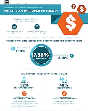 Improper Payments FY 19
