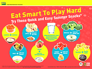 Summer Food Posters