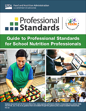 Professional Standards Guide Cover