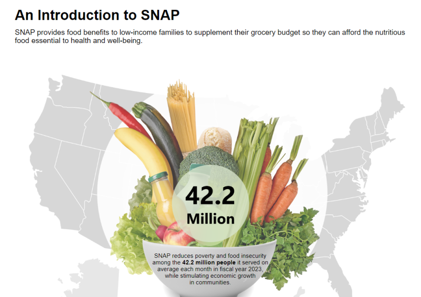 thumbnail of SNAP in Action Dashboard display