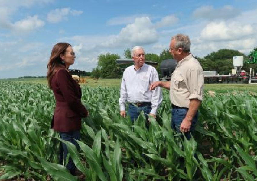 Secretary Rollins and Kennedy standing in a field with a farmer discussing his wheat crop.