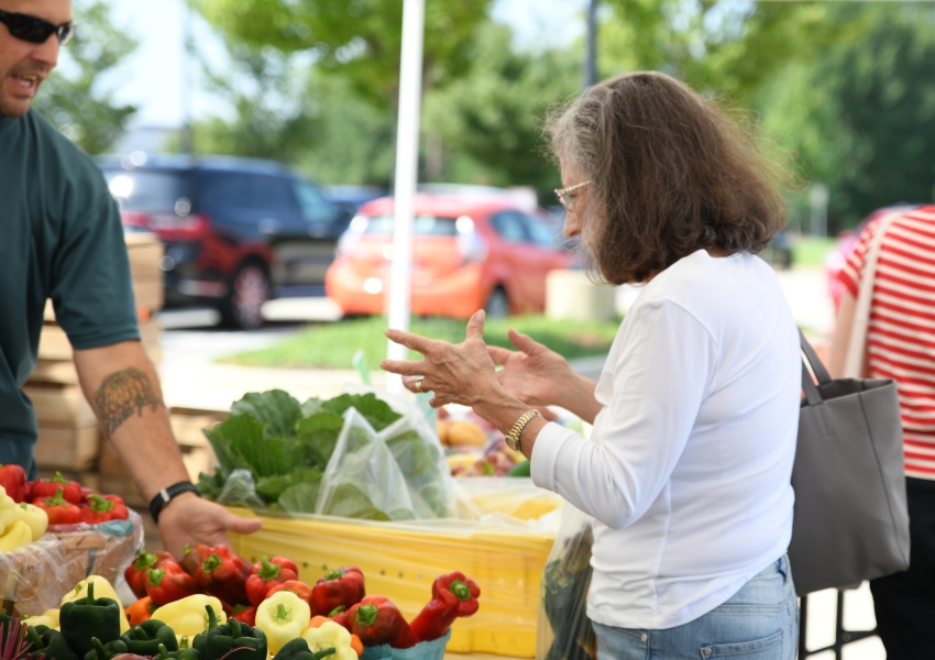 Woman at farmers market talking to a vendor.