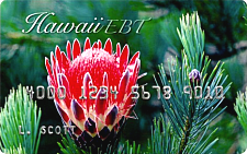 Hawaii EBT Card image