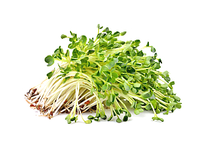 sprouts