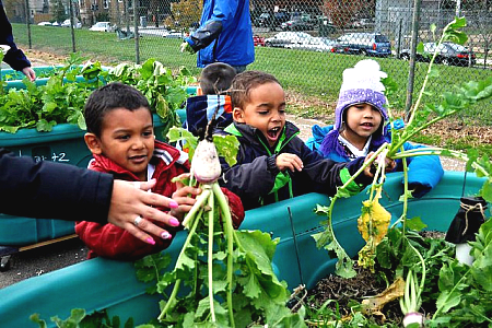 USDA Announces 2019 Farm to School Grants