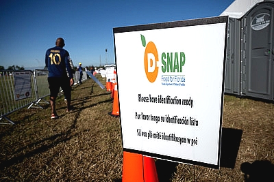 sign in a grassy field advertising D-SNAP Foods for Florida