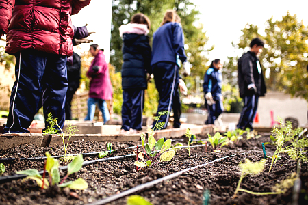 students in a school garden