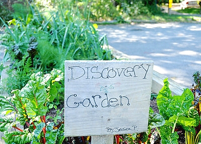 a wooden sign in front of a school garden labelled "Discovery Garden"