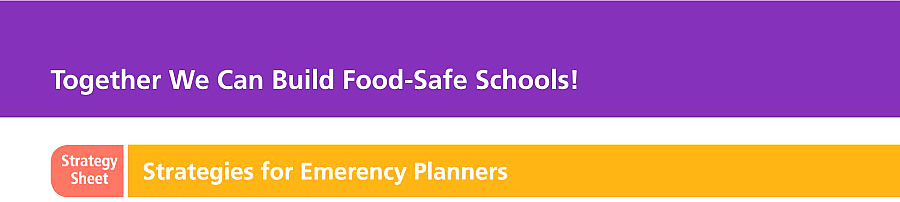 Strategy Sheet: Strategies for Emergency Planners