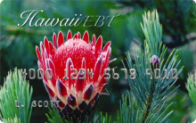 Hawaii EBT Card image